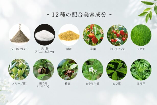 12種の配合美容成分